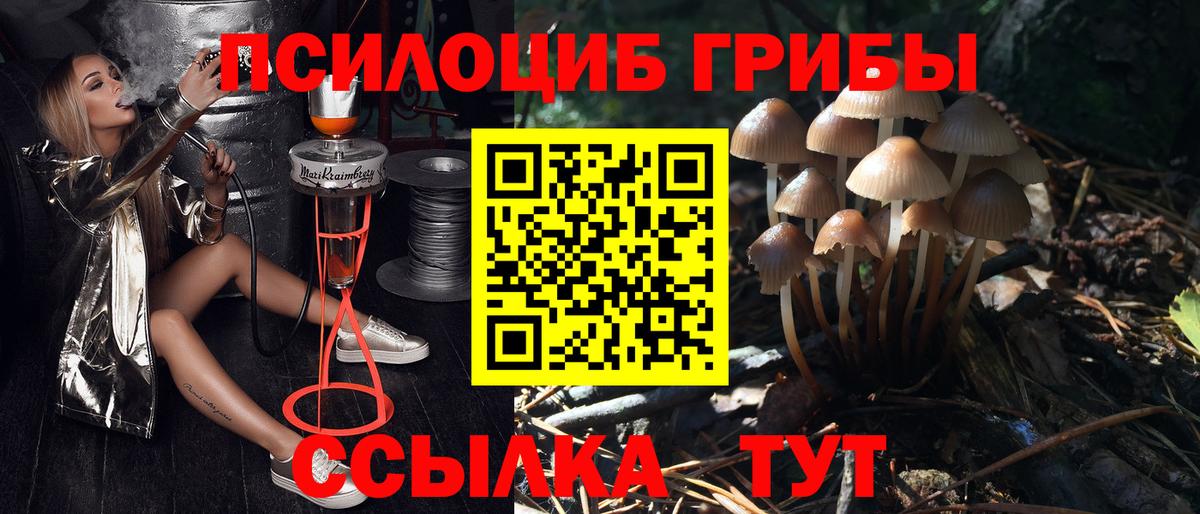 Галлюциногенные грибы Psilocybe  Вход с VPN  Кунгур 