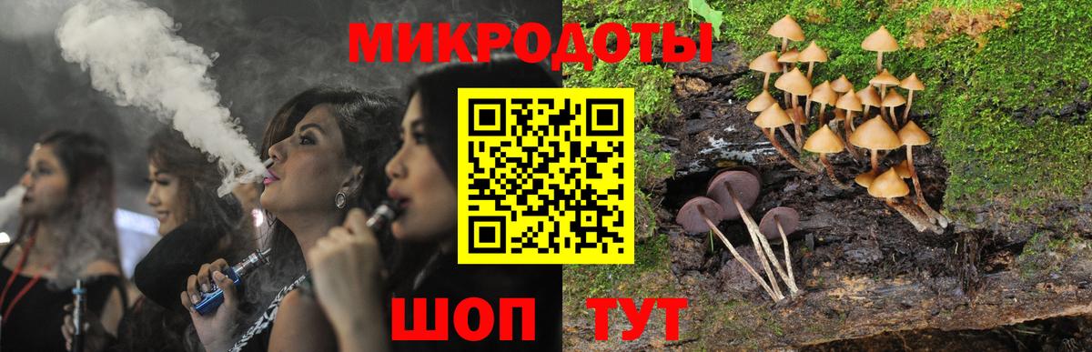 Псилоцибиновые грибы мицелий Кунгур